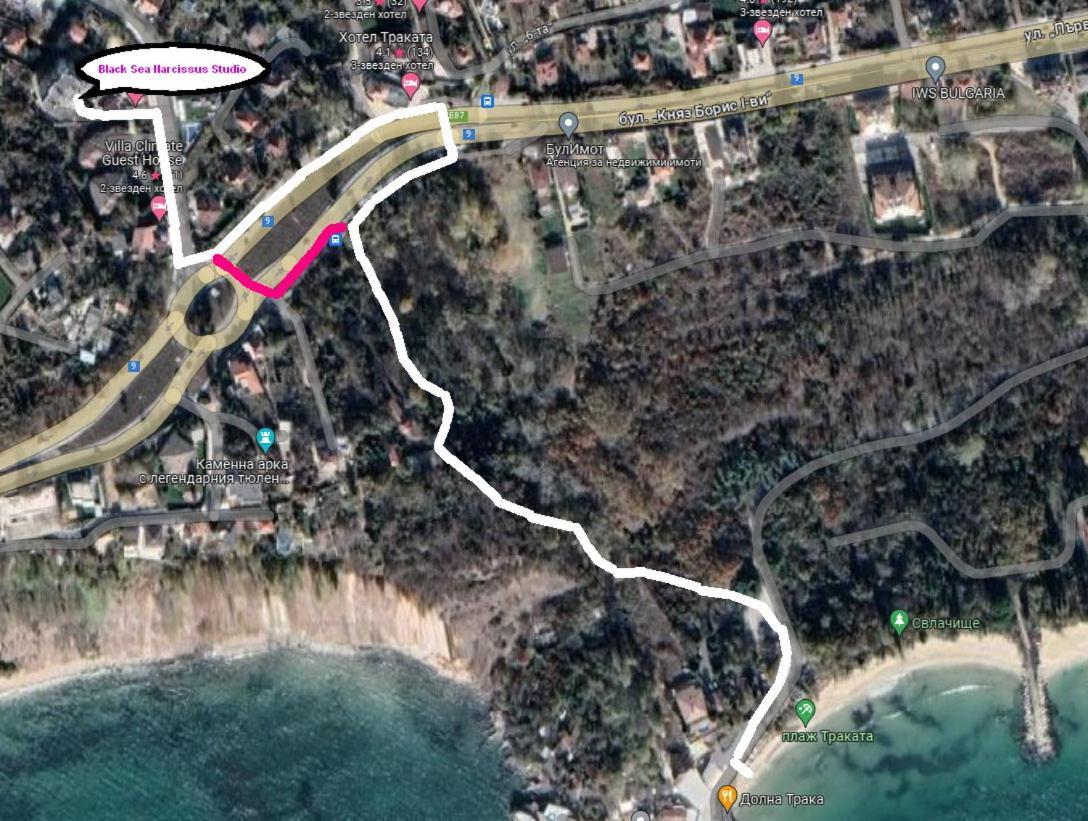 Black Sea Narcissus - Quiet With Amazing Sea View Varna